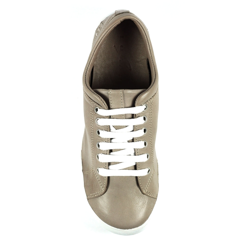 Lunar Carrick Women's Lace Leather Trainer Stone